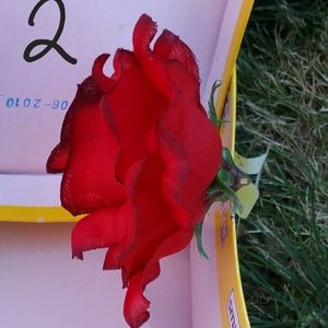 2x Red Rose hair accessories